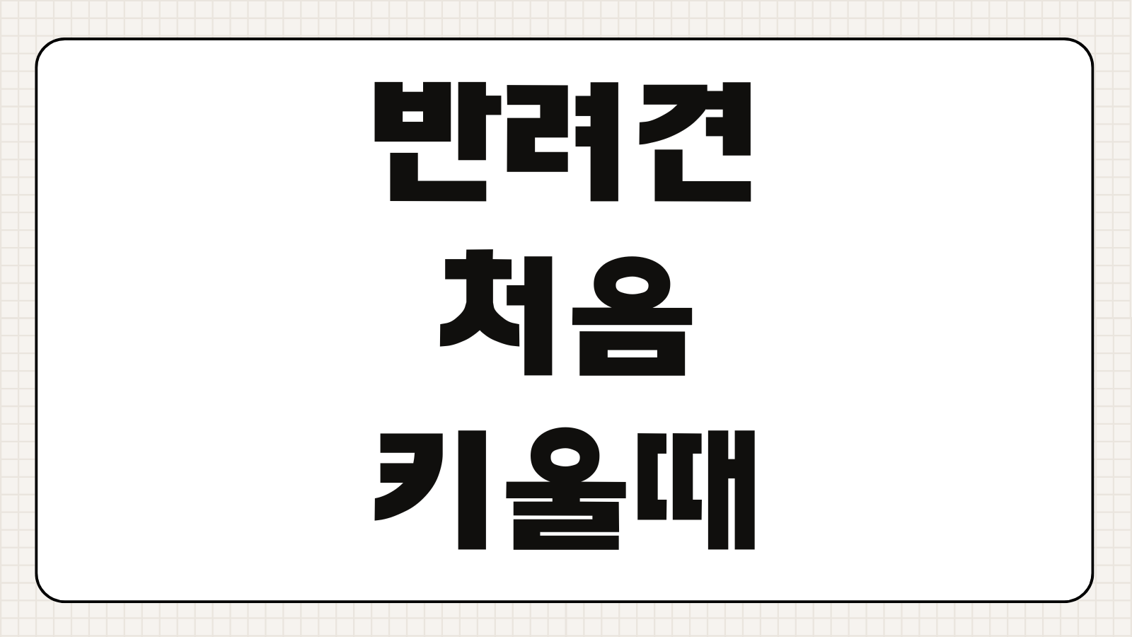 반려견 처음 키우는 방법 준비물 체크리스트 비용 총정리