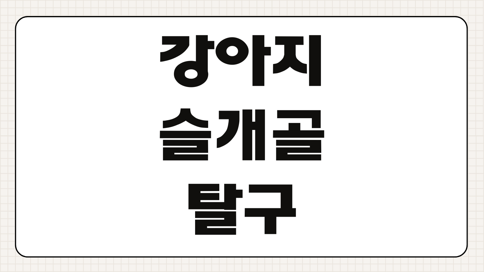 강아지 슬개골 탈구 증상 치료방법 수술비 예방법 정리