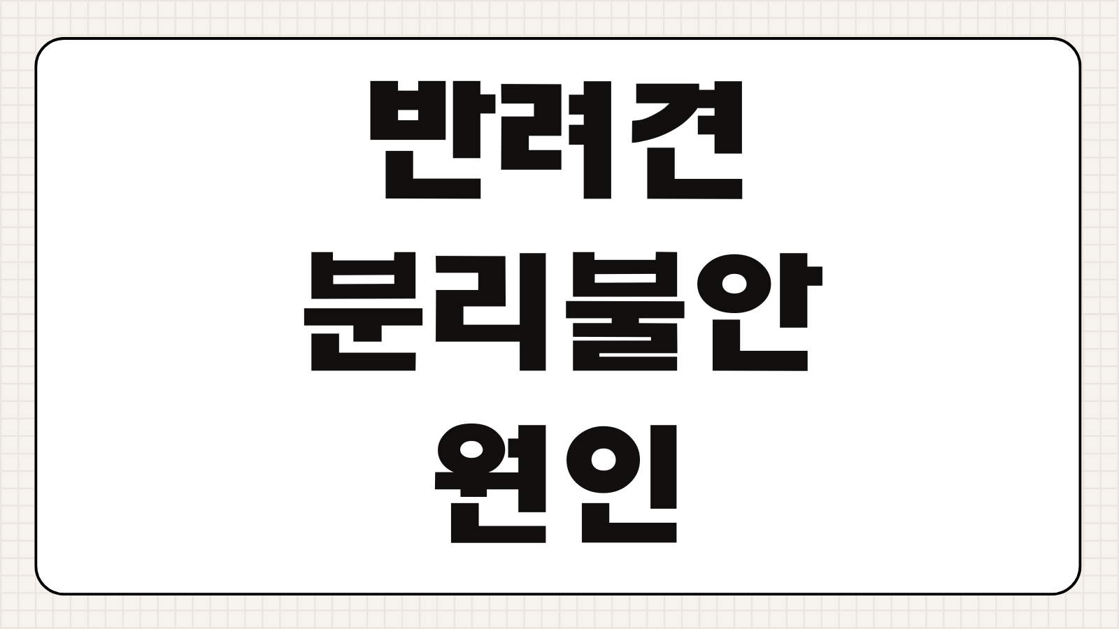 반려견 분리불안 원인 훈련방법 증상 개선 단계별 정리