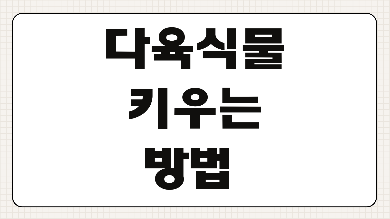 다육식물 키우는 방법 물주기 흙 종류 분갈이 시기 정리