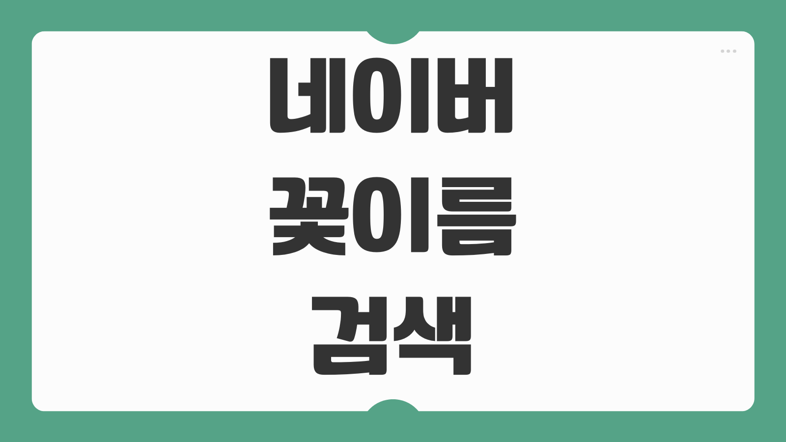 네이버 꽃이름 검색 카메라 어플 사진 찾기 식물이름 확인 스마튼렌즈 활용법