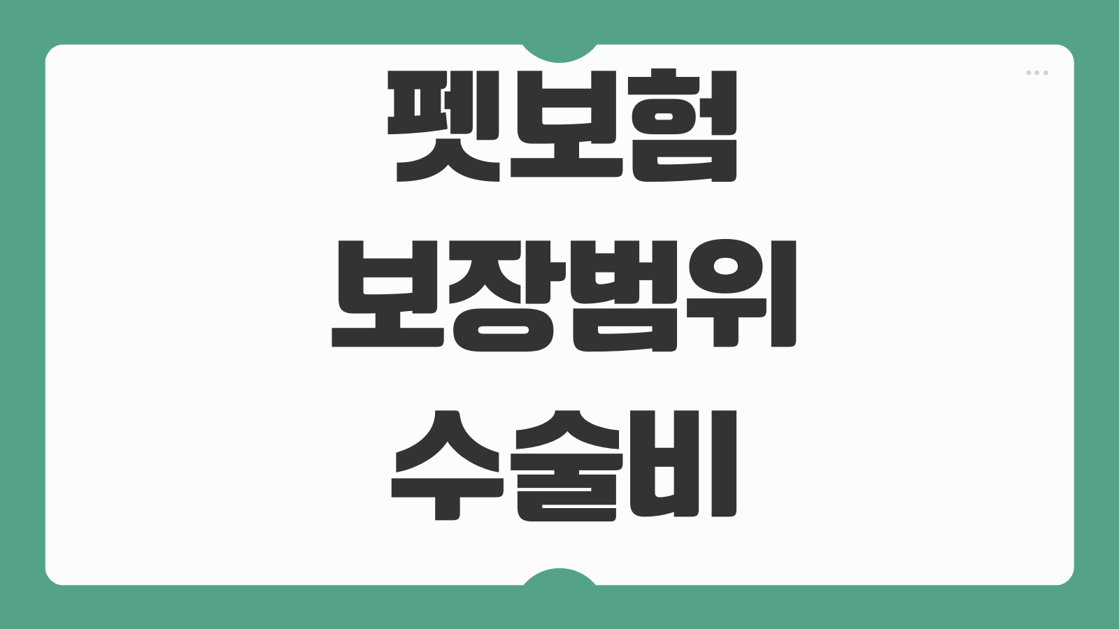 펫보험 보장범위 수술비 통원비 MRI 자기부담금 보험료 비교 가입타이밍