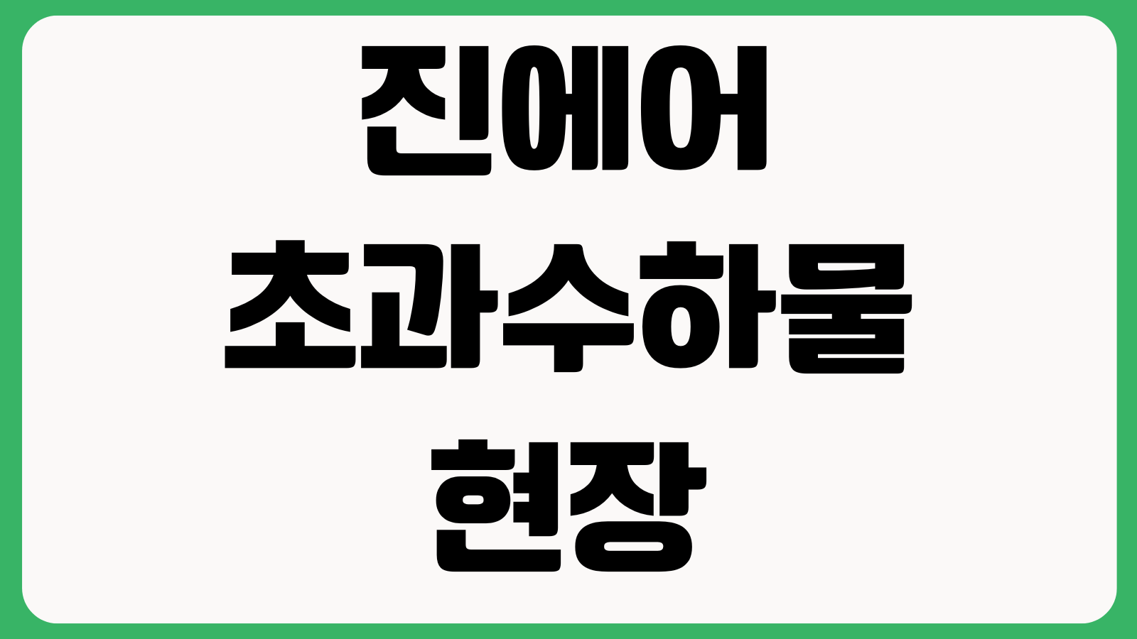 진에어 초과수하물 현장결제 비싼 이유 사전구매 무게기준 노선별요금 확인